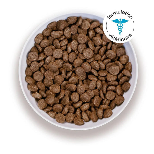 DermaPaw InsectCare™ – Croquettes Apaisantes Hypoallergéniques pour Chiens Sensibles